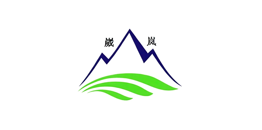 上海崴岚医疗器械有限公司