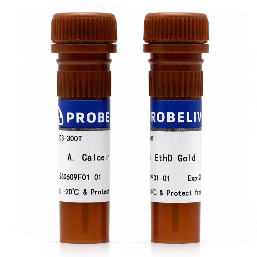 动物活死细胞活性/细胞毒性检测试剂盒(Calcein AM, EthD Gold)