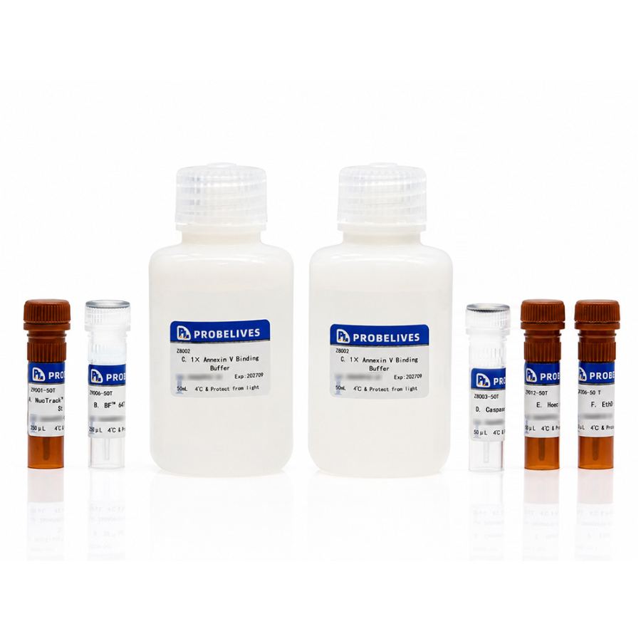 PanSpatio™ 活细胞 Caspase-3/7 活性与Annexin V 双重凋亡检测试剂盒(NucTrack™ 488 Caspase-3/7, BF™ 647-Annexin V, EthD Gold, Hoechst 33342)