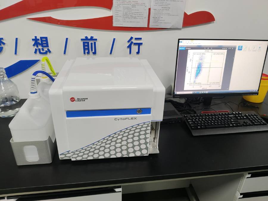 公司图集 6