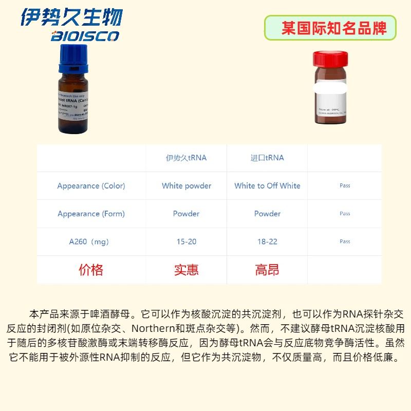 转移核糖核酸tRNA 图 2