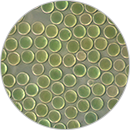 5-应用-3批量制造-130<i></i>X130.png