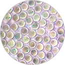 5-应用-2载药微球-130<i></i>X130.png