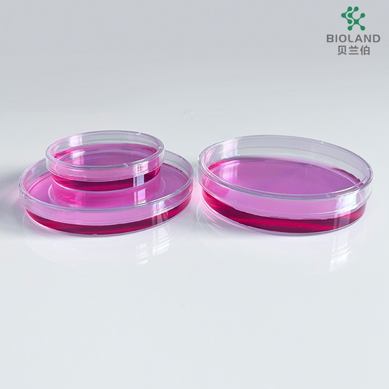 Bioland贝兰伯  细菌培养皿 60x15mm 90x15mm 90x20mm 150x20mm图6