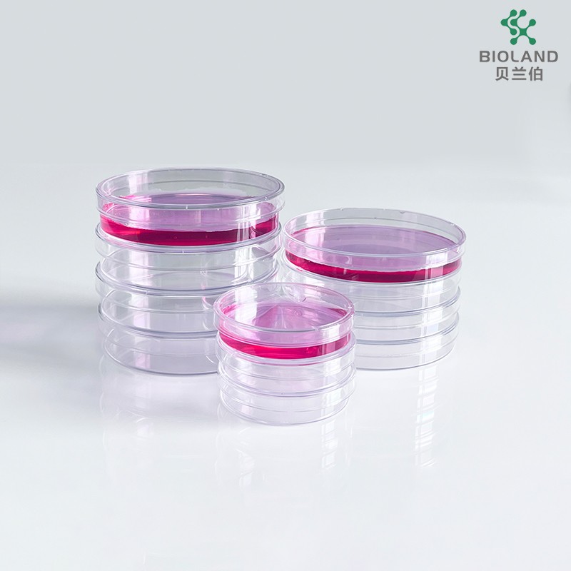 Bioland贝兰伯  细菌培养皿 60x15mm 90x15mm 90x20mm 150x20mm图2