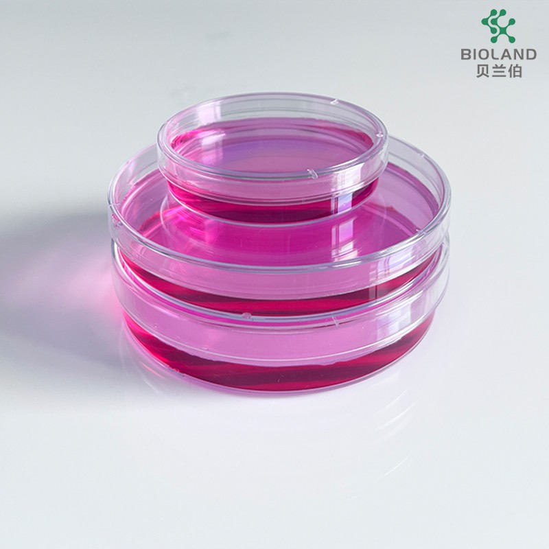 Bioland贝兰伯  细菌培养皿 60x15mm 90x15mm 90x20mm 150x20mm图7